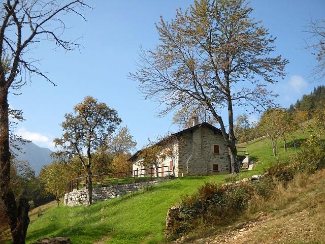 DSCN3395 moda.jpg